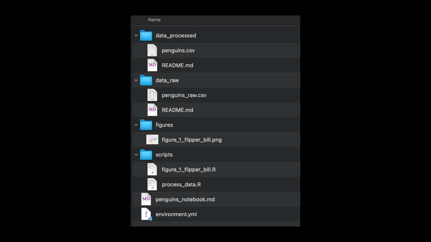 Screenshot of better directory organization, with folders for each file type