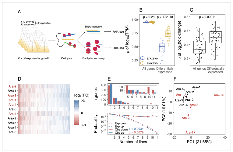 Figure from Favate paper