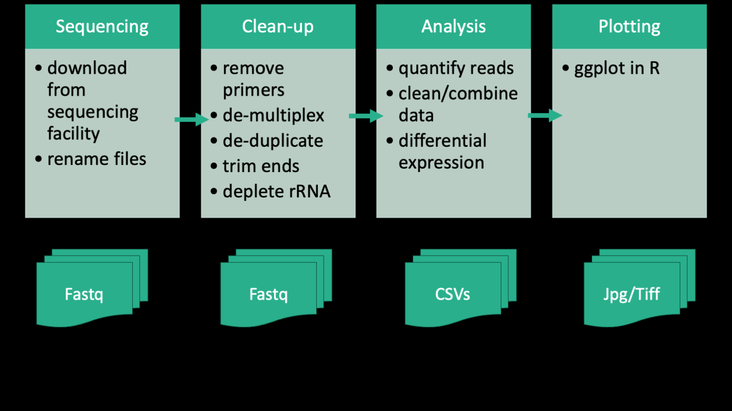 Workflow of Favate paper