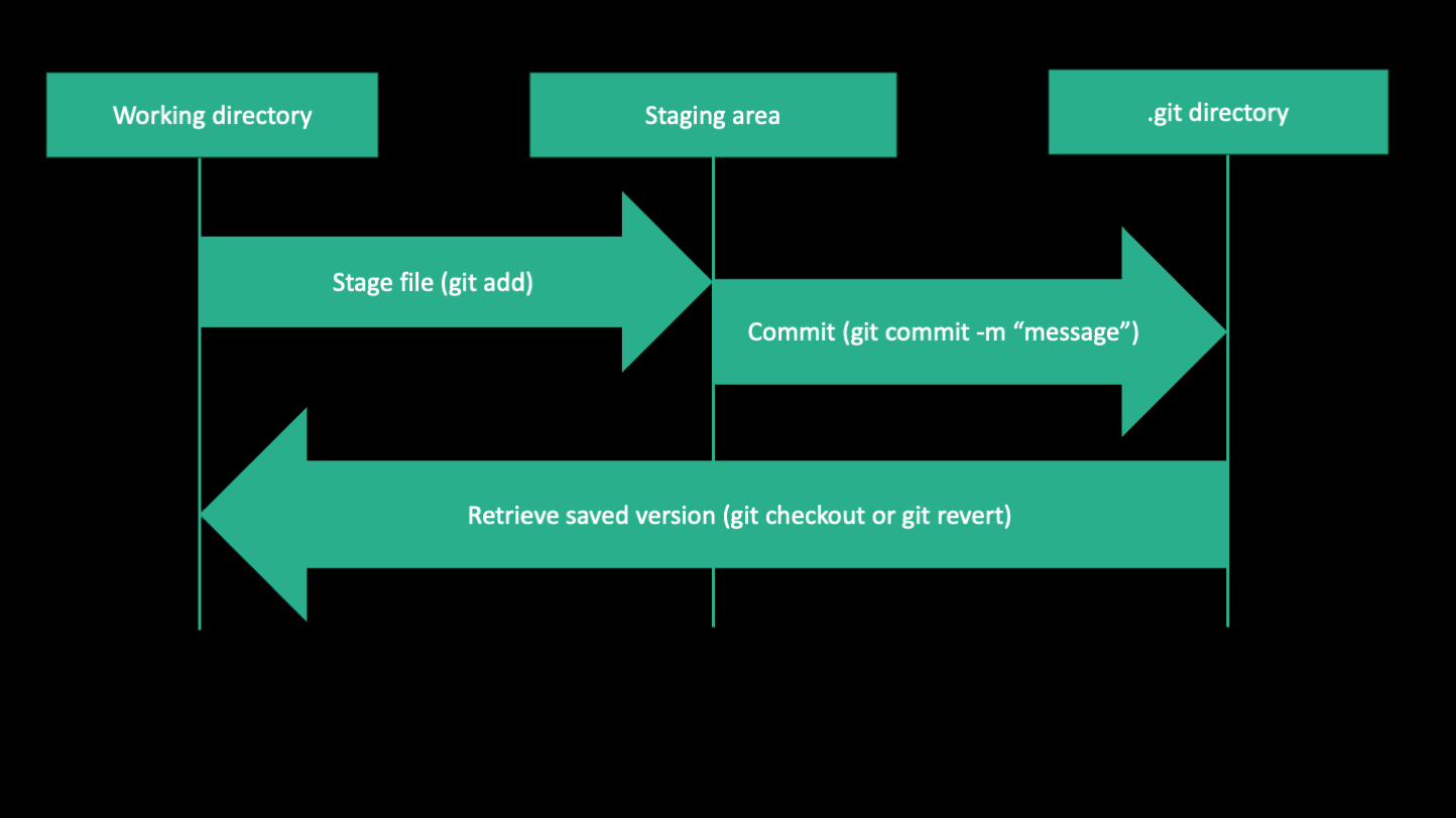 Basic git workflow