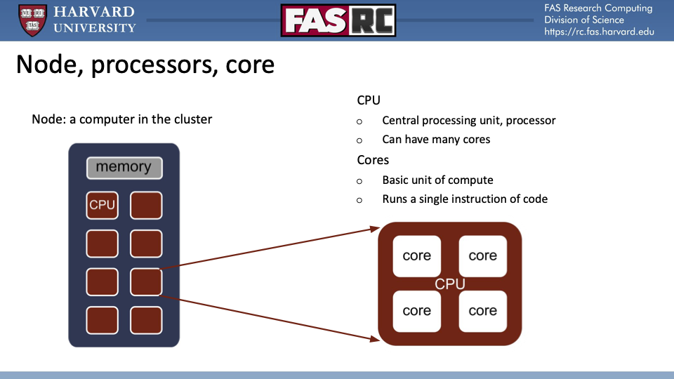 Schematic of compute node on Cannon cluster