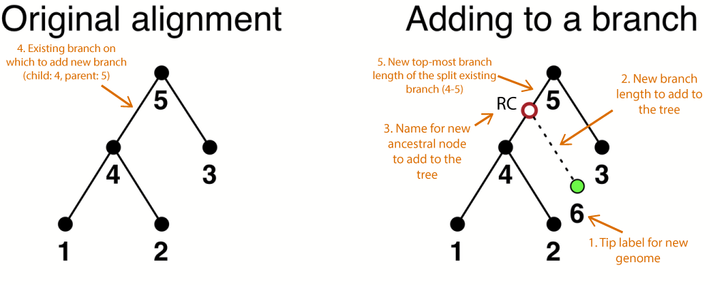 Two panels, the first showing a phylogenetic tree with 3 tips and internal nodes labeled, the second showing a 4th tip being added to the tree.
