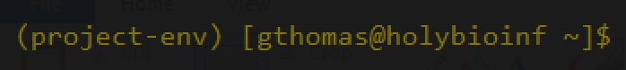 A screenshot of a command prompt with (project-env) prepended to it