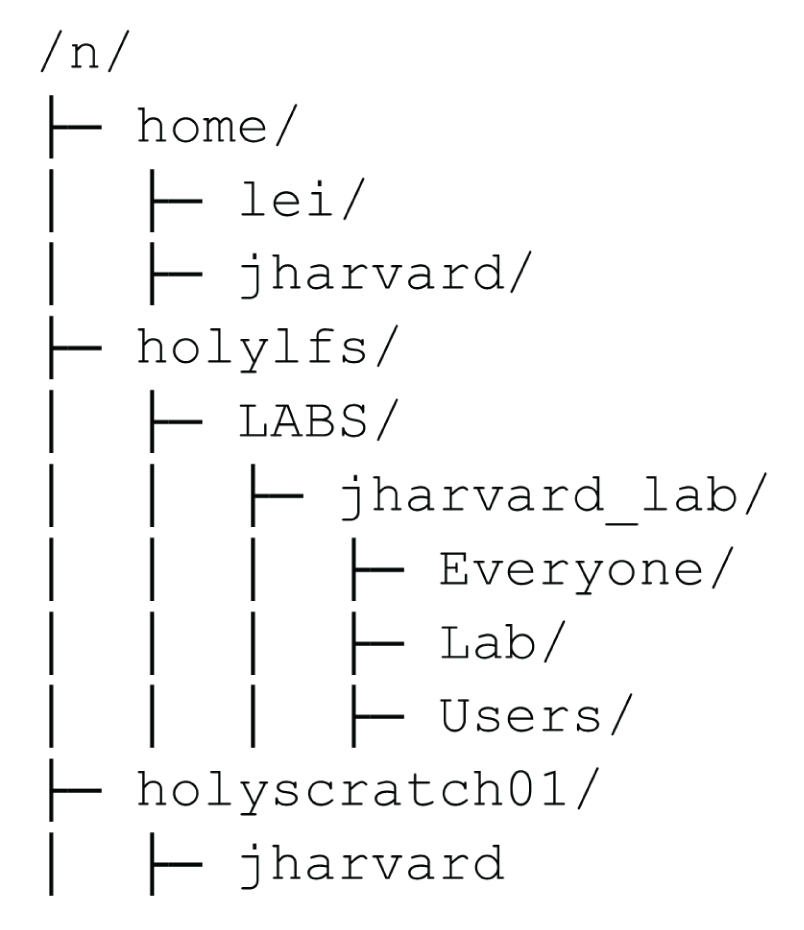 Tree diagram of typical Cannon cluster users's network mounted storage