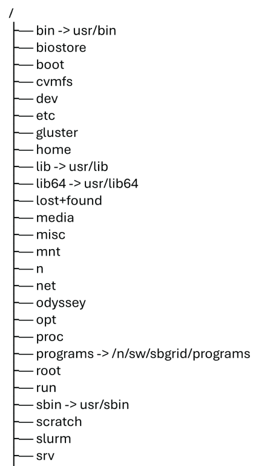 Tree diagram of typical Cannon cluster login node root directory