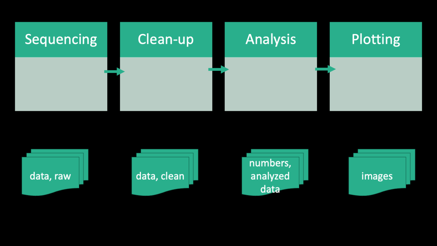 Simplified workflow of a generic bioinformatics project