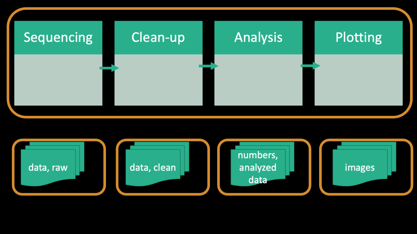 Generic workflow modified to include code and products of each step, circled by each type of file