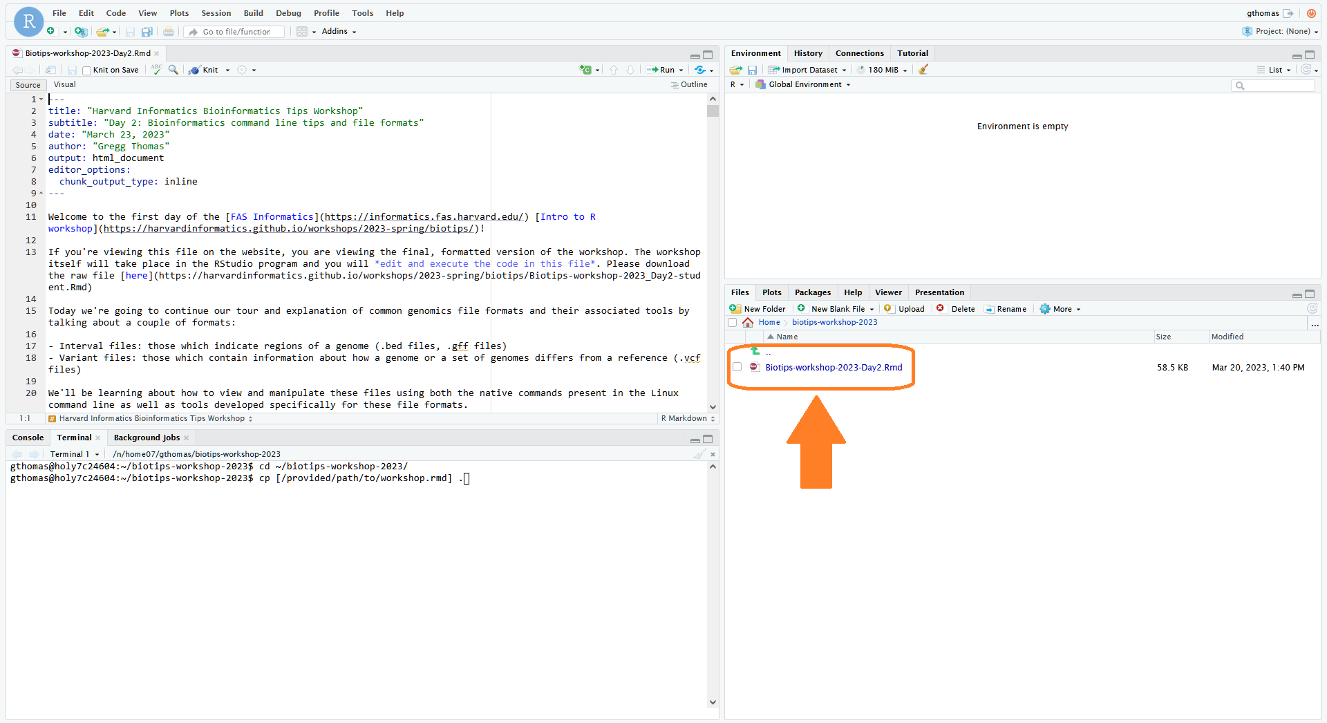 VDI RStudio file browser