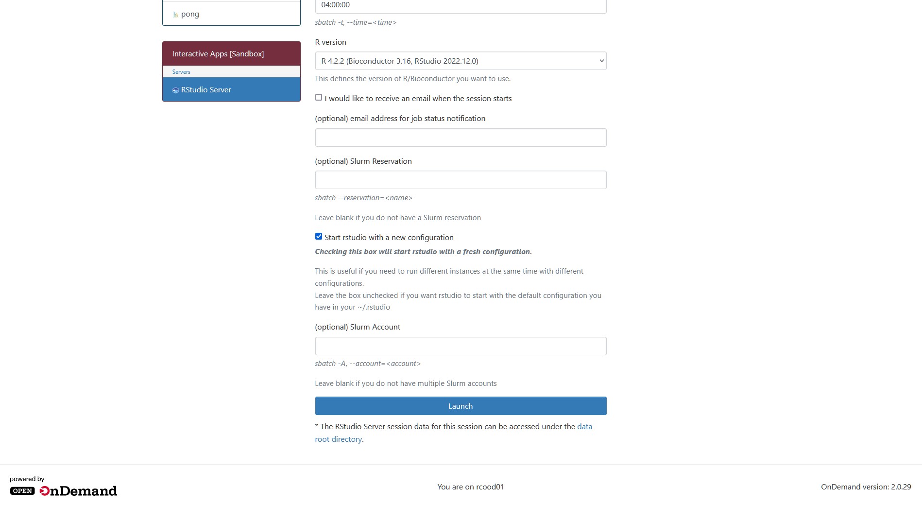 VDI launch RStudio job