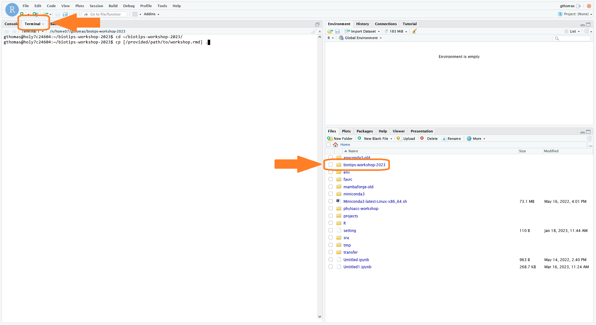 VDI RStudio terminal cd