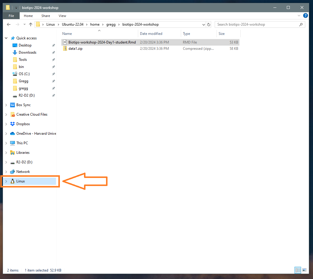 WSL file explorer