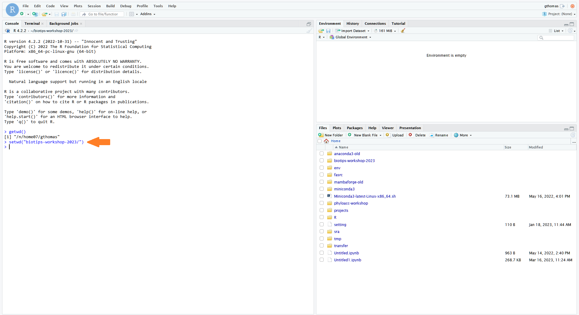 VCI RStudio setwd