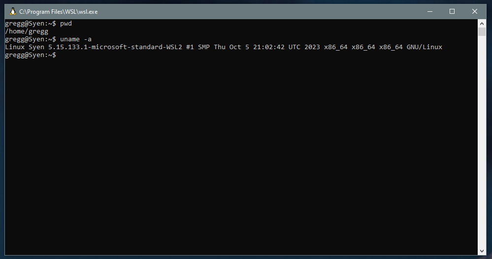 WSL terminal
