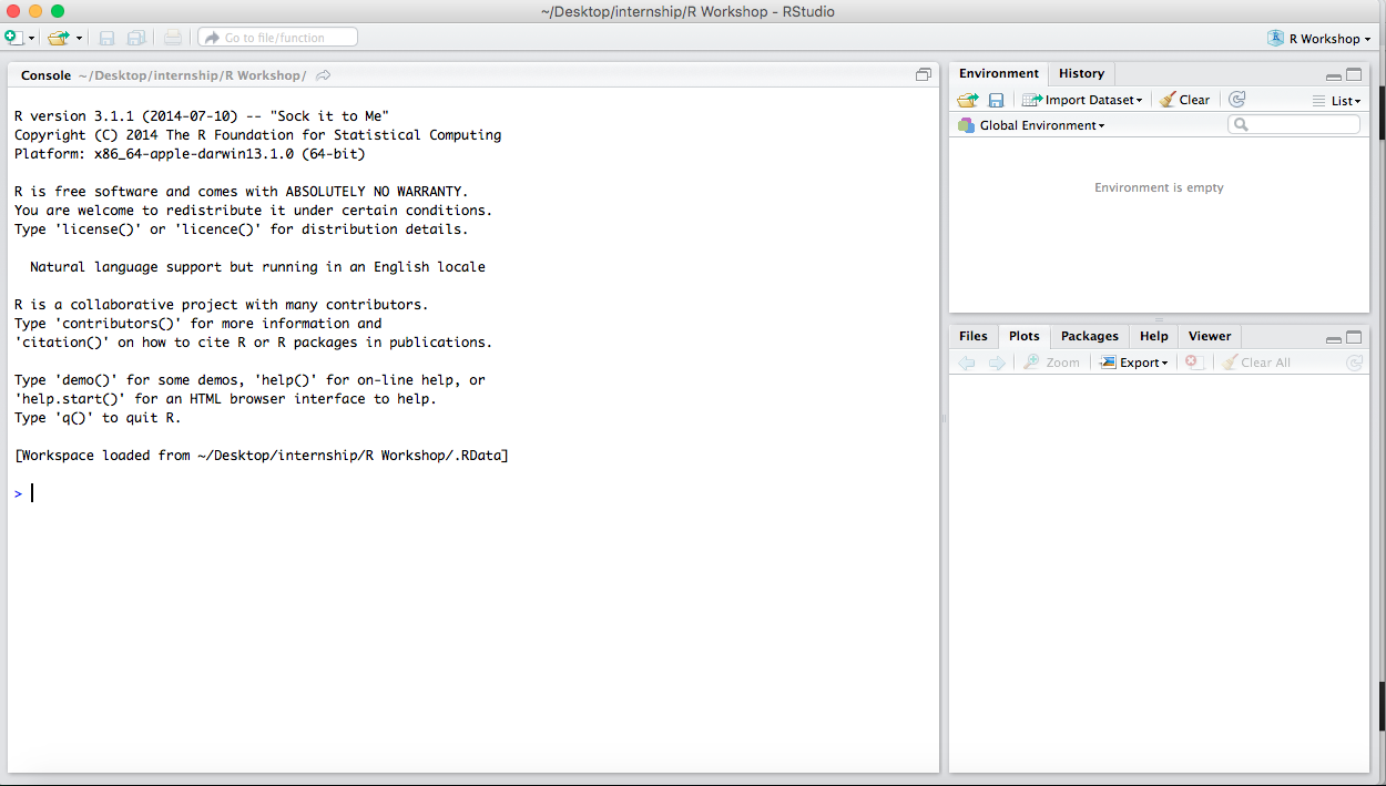 RStudio interface